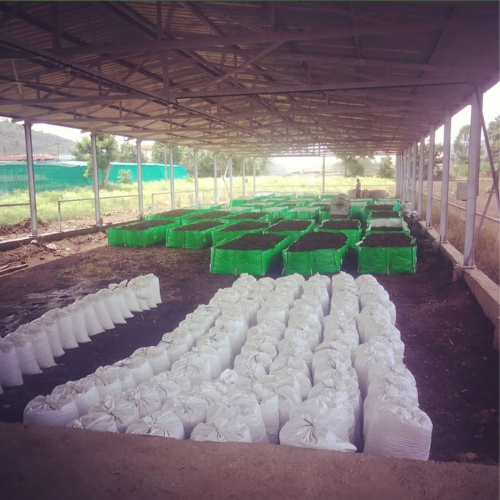 Earthworm Composting