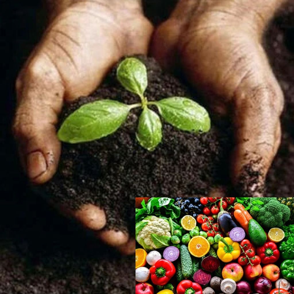 Why Choose Vasundhara Farm