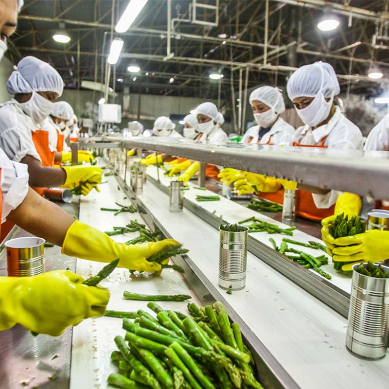 Food Processing Industry